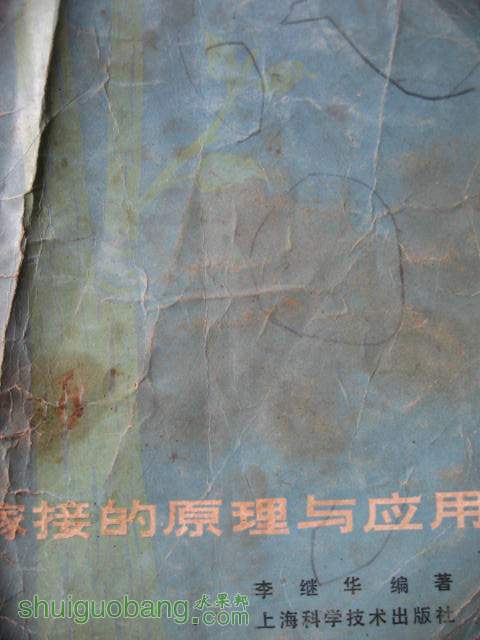 ڼ޽ 011.jpg