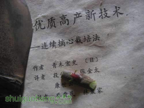 ڼ޽ 003.jpg