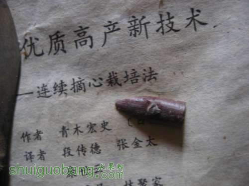 ڼ޽ 004.jpg