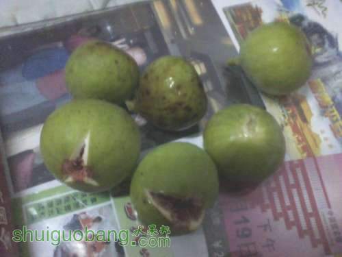 IMG1125194300.jpg
