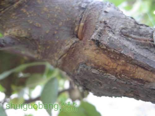ڼ޽ 005.jpg