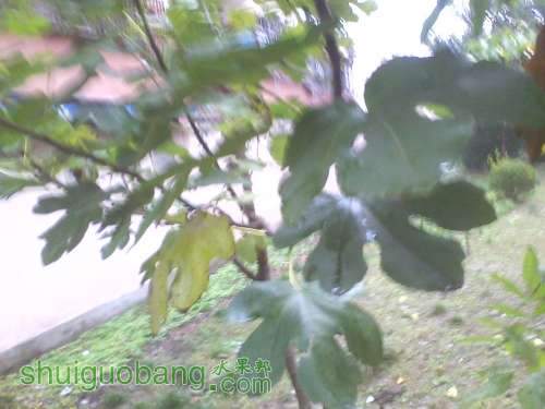 IMG1125144900.jpg