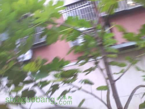 IMG1125144901.jpg