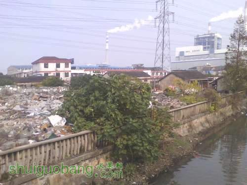 IMG1126124300.jpg
