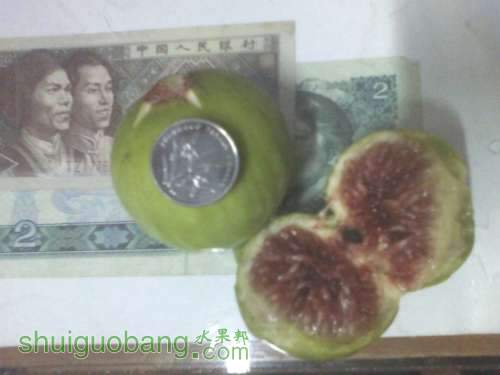 IMG1125194600.jpg