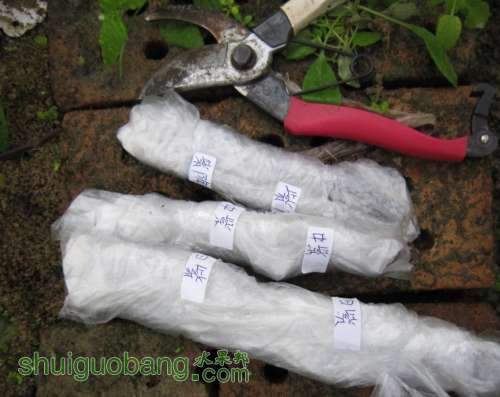 360����С���ֽ�ͼ20121128194419.jpg