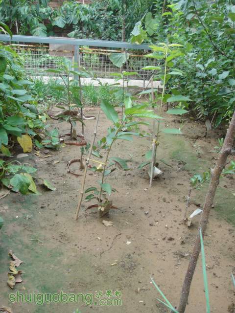 DSC00732.JPG