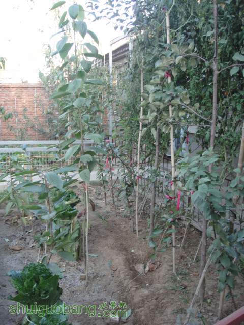 DSC01113.JPG