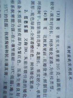121203003B9.jpg