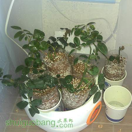 1206_1_.jpg