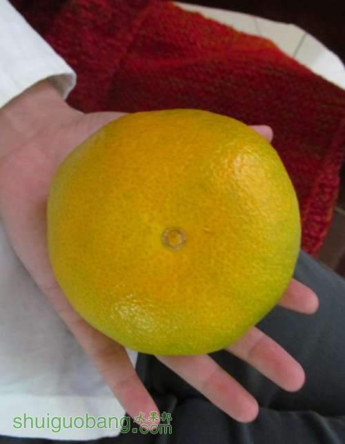 QQͼ20121208113045.jpg