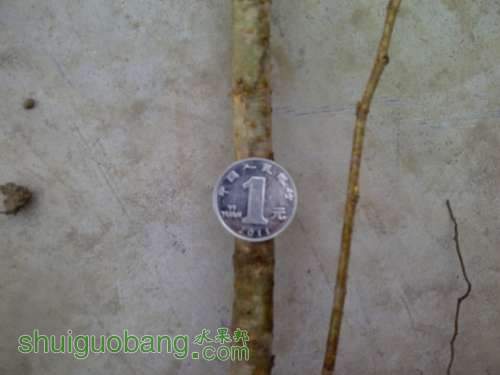 IMG-20121120-00097.jpg