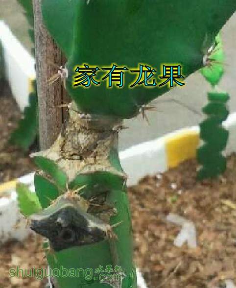 ˮ޽