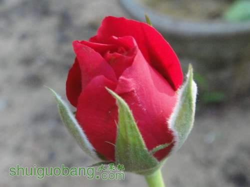 DSC05140.JPG