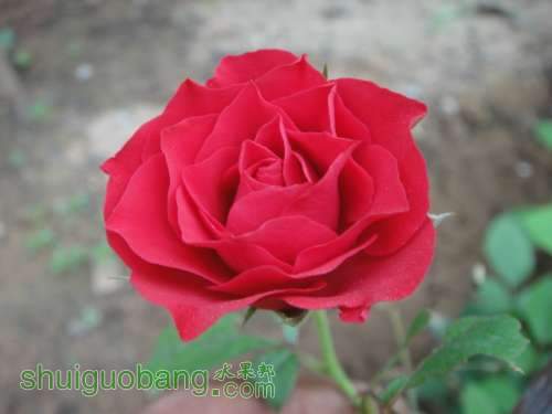DSC05157.JPG