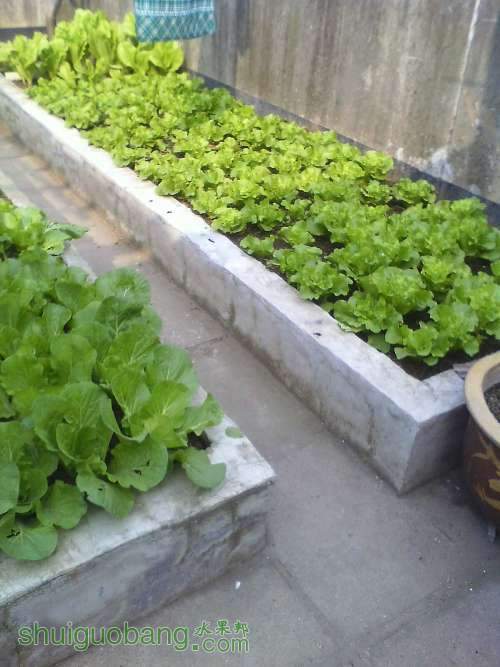 IMG1212133501.jpg