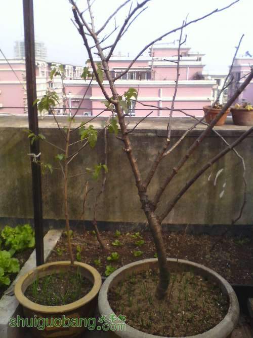 IMG1212133600.jpg