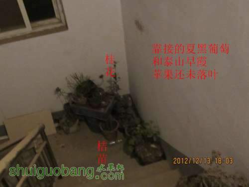 IMG_1969_1.jpg