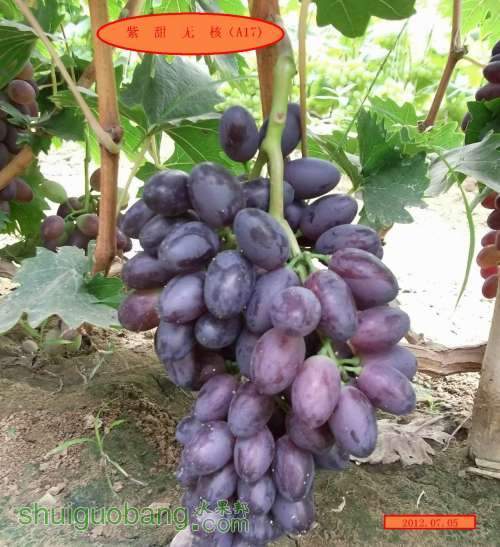 ���� DSCF2331.jpg