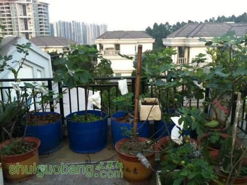 ��Ƭ 088.jpg