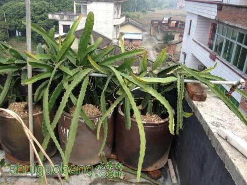 ��Ƭ 046.jpg