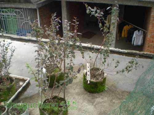 PC210001.jpg