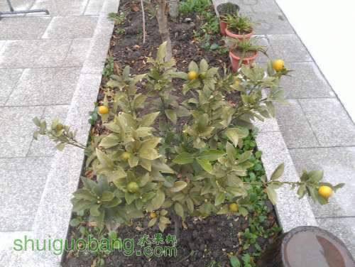 WP_000292.jpg