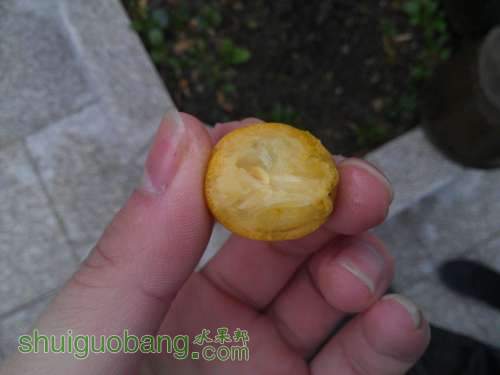WP_000302.jpg