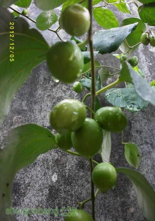 ALIM1304.JPG