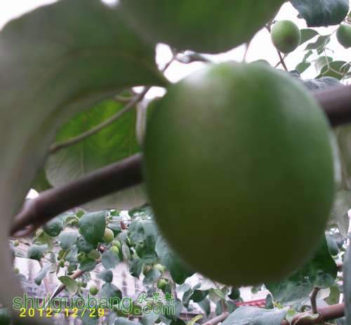 ALIM1364.JPG