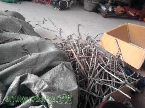 Ƭ012.jpg