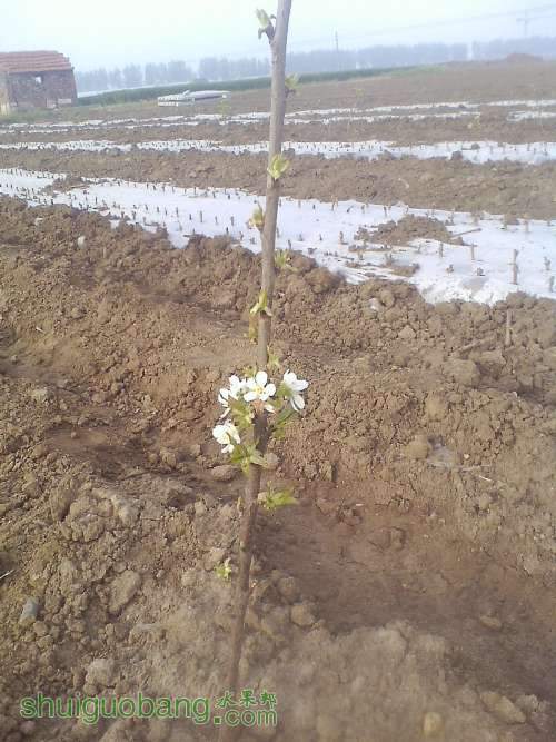 IMG0501065000.jpg