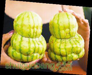 u=1395571795,2074627459&fm=23&gp=0.jpg
