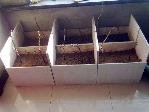20130104004.jpg