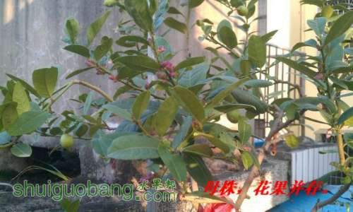 IMAG0058.jpg