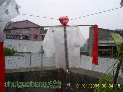еȸȸ.jpg