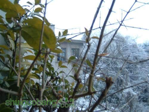 DSCF0274.JPG