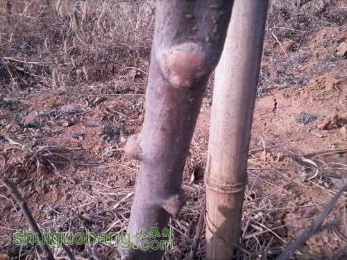 Ƭ0849 as Smart Object-10000.jpg