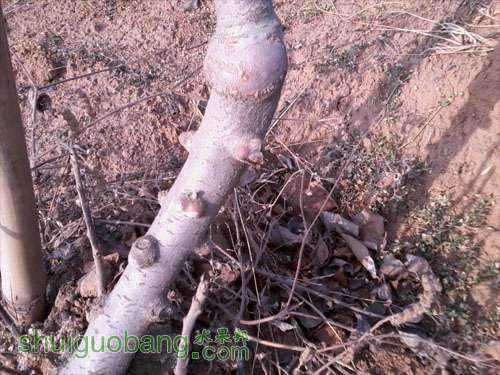 Ƭ0851 as Smart Object-10000.jpg