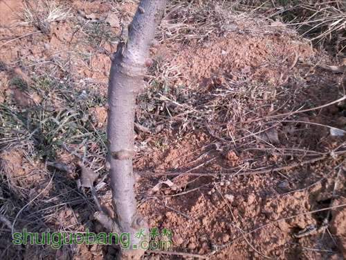 Ƭ0846 as Smart Object-10000.jpg