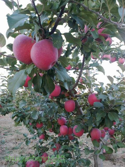 20121016232.jpg