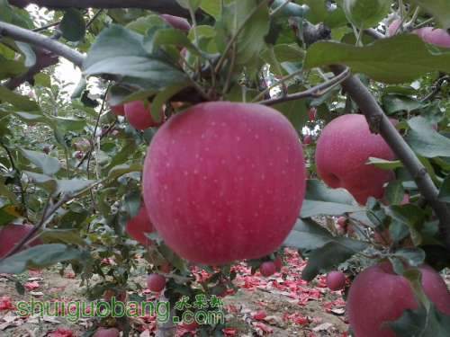 20121015227.jpg