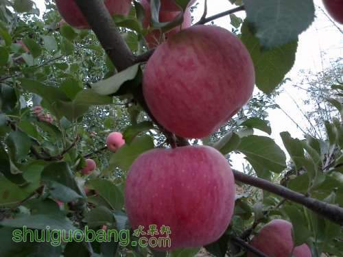20121004164.jpg