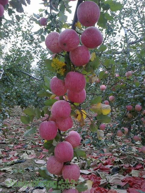 20121012193.jpg
