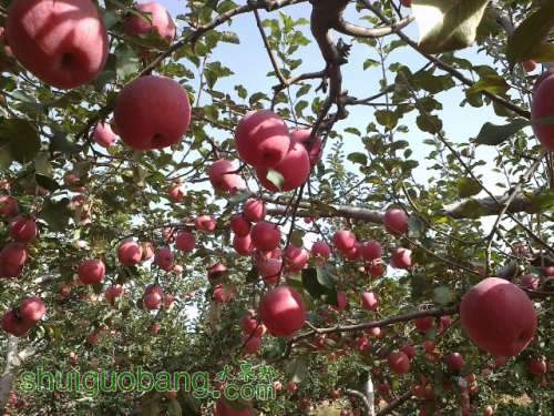 20121016229.jpg
