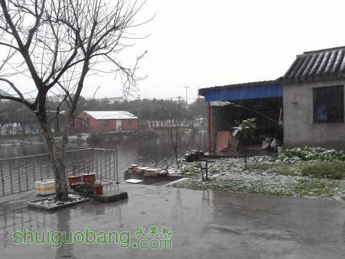 WP_000330.jpg