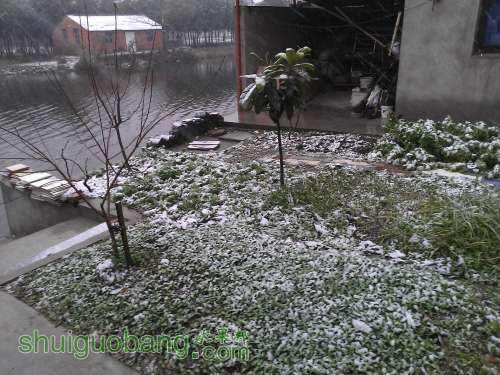 WP_000332.jpg