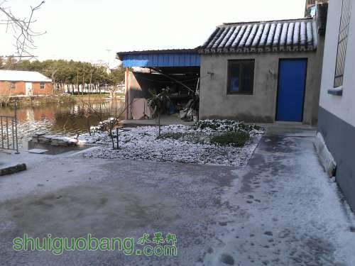 WP_000336.jpg