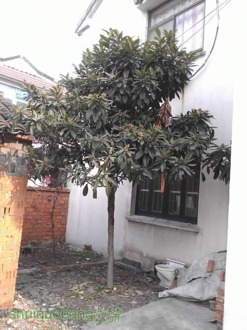 WP_000347.jpg