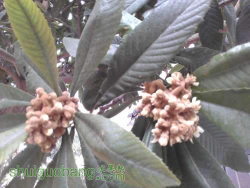 WP_000351.jpg